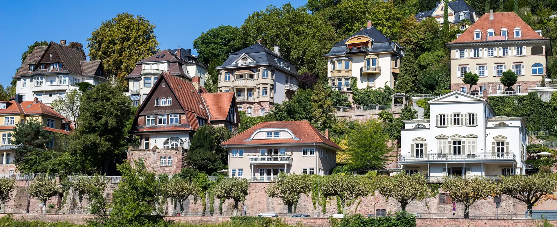 Villen am Neckar in Heidelberg